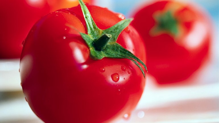tomate2.jpg (770×433)